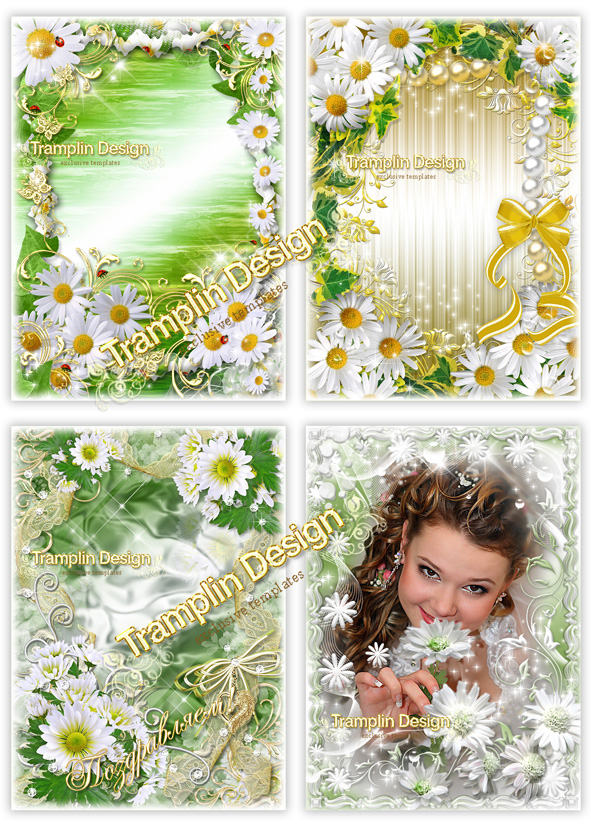 Набор цветочных рамок - Ромашки и Хризантемы
